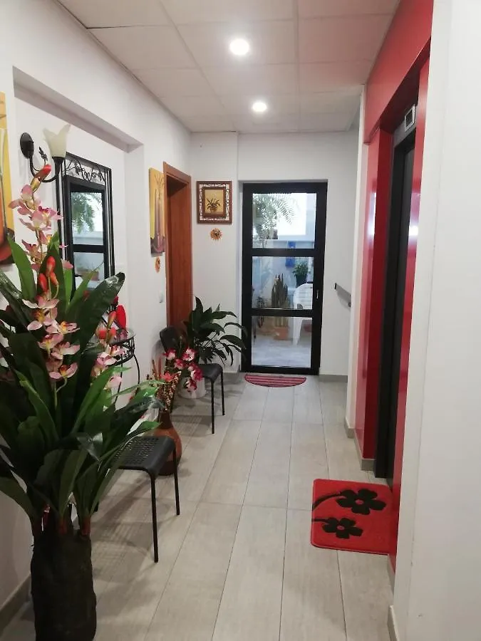 Appartement Chajofe 8 à Los Cristianos  0*, Los Cristianos (Tenerife)